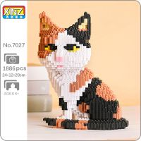 XZ 7027 Animal World Persian Cat Tabby Kitten Sit Pet 3D Model DIY Mini Magic Blocks Bricks Building Toy for Children no Box