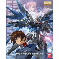 Dramatic Combination [MG Freedom Gundam Ver.2.0 &amp; Figure-rise Bust Kira Yamato] (MG) (Gundam Model Kits)