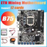 B75 ETH Mining Motherboard 12 PCIE to USB+I3 2100 CPU+Cooling Fan+Switch Cable+SATA Cable DDR3 MSATA LGA1155 Motherboard