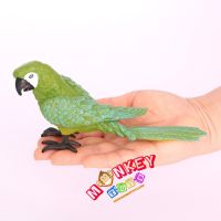 Monkey Toys - โมเดลสัตว์ Parrot นกแก้ว เขียว ขนาด 17.00 CM (จากหาดใหญ่)