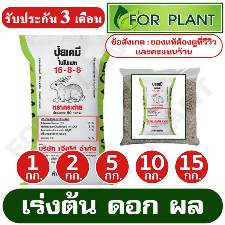 ปุ๋ย-สูตร-16-8-8-ตรากระต่าย-ct-มีเเบ่งบรรจุเริ่มต้นที่-1-กก-2-กก-5-กก-10-กก-15-กก-เร่งต้น-ดอก-ผล