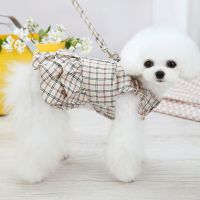 Summer Pet Princess Plaid Skirt Sweet Bowknot Dog Dress with Leash Set Chihuahua French Bulldog Yorkshire Cute Puppy Costume Dresses