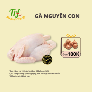 Gà dai nguyên con nhập khẩu Truefood 1.3 - 1.5kg HN ship hỏa tốc