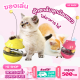 ตุ๊กตาล้มลุก ของเล่นล่อแมวแจกอาหารได้ ของเล่นแมวลายการ์ตูน ลูกบอลให้อาหาร สินค้าพร้อมส่งในไทย
