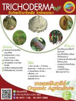 ?เชื้อไตรโคเดอร์ม่า ชนิดผงกำจัดโรคพืช #ขนาด100กรัม #เกษตรอินทรีย์ (เชื้อพร้อมใช้) เก็บรักษาในซองอลูมิเนียมฟอยล์ ?