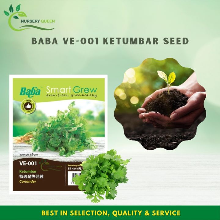 Nk Baba Seed Ve Ketumbar Seed Smart Grow Vegetable Seed Garden Outdoor