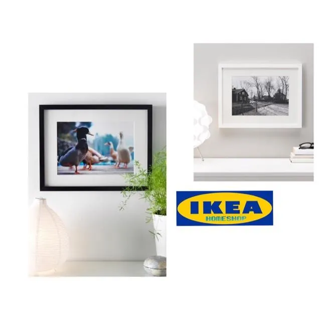 RIBBA Premium Wall Frame A3 Frame 30x40cm Bingkai Gambar dinding