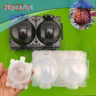 QKKQLA 20pcs Plant Rooting Ball fruit tree Root grow box plastic case Box Grafting Rooter Growing High-pressure transparent black pot