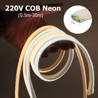 COB LED Strip 220V 288LEDs/m FOB Neon Lights White/Warm White/Natural White Outdoor Waterproof Ribbon Diode Tape Home Decoration Power Points  Switche