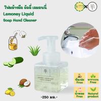 โฟมล้างมือ สบู่ล้างมือ ผลิตวัสดุธรรมชาติ95% ถนอมมือ อัลลี่ เลมอนนี่ Lemoney Liquid Soap Hand Cleaner น้ำยาล้างมือ