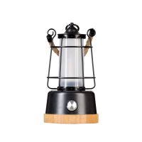 LED Camping Lantern Portable Handheld Emergency Light Retro Metal Outdoor Tent Lantern