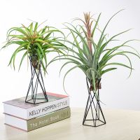 【cw】 Air Holder Metal Pot Iron Tillandsia Table Garden Ornaments Decoratio ！