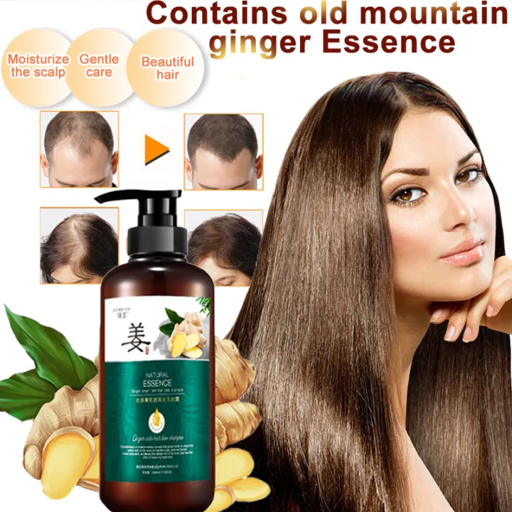 ZENSHOW Ginger hair growth Shampoo Anti-drop hair growth liquid Ginger  juice formula, prevents hair loss,