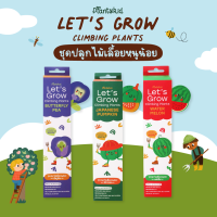 Planty Kid Lets Grow Climbing Plants ชุดปลูกไม้เลื้อยพร้อมอุปกรณ์ครบเซต