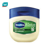 Free delivery, Fast shipped  จัดส่งฟรี Vaseline วาสลีน เพียว รีแพริ่ง เจลลี่ อโล 100 มล. ( บริการเก็บเงินปลายทาง COD สะดวกสบาย )