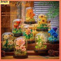 BRAIN พลาสติกทำจากพลาสติก ดอกไม้บล็อกอาคาร ดีไอวาย นิรันดร์นิรันดร์นิรันดร์ ของเล่นดอกกุหลาบ สร้างสรรค์และสร้างสรรค์ หลากสี ดอกไม้สามมิติ บ้านในบ้าน