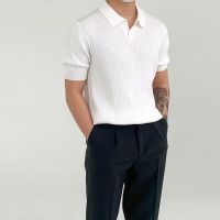 【CC】∋卍  2023 New Men Polo Shirt Lapel Stretch Knitted Pullover Male Korean Fashion Youth Top