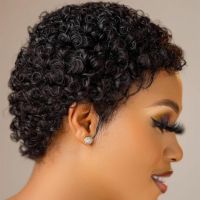 Short Curly Hair Wigs Pixie Cut Remy Brazilian Human Hair Wigs For Black Women 180 Density Glueless Afro Kinky Curly Wig