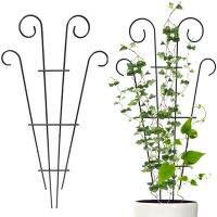 卍♙ Garden Accessories Climbing Plants Garden Plant Climbing Support - Metal Plant - Aliexpress