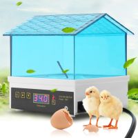 High Quality 4 Eggs Incubator Temperature Control Digital Chicken Chick Duck Hatcher