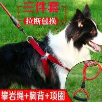 [COD] T dog traction chain pet chest back and medium-sized walking collar bullfighting than bear gold