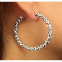 Korean Diamond Shine Ear Drop Prickly Personality Circle Will Earrings Ear Circle Ear Nail Jewelry