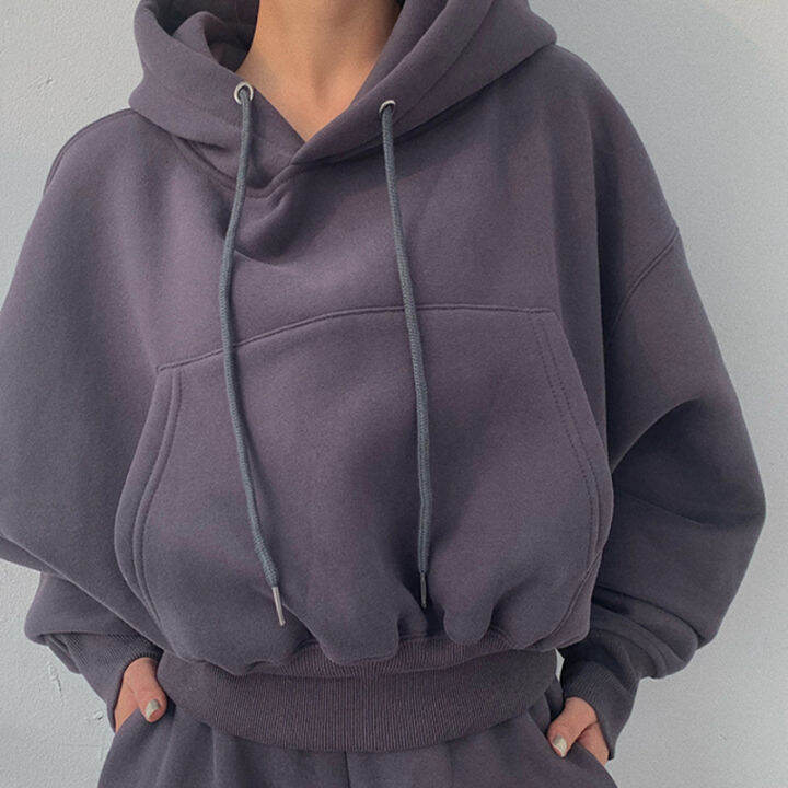 hoodies-suit-winter-spring-solid-casual-tracksuit-women-fleece-2-pieces-set-sports-sweatshirts-pullover-home-sweatpants-outfits