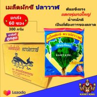 เมล็ดพันธุ์ผักชี ผักชีปลาวาฬ ผักชีสายสมร  เมล็ดผักชีคุณภาพ ศรแดง เพิ่มพล เมล็ดพันธุ์ผักสวนครัว