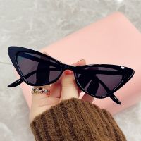 OLOPKY 2022 Cateye Small Sunglasses Women High Quality Eyewear Women/Men Retro Glasses Women Mirror Party Gafas De Sol Mujer