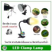 Reptile Clamp Lamp โคมไฟ ให้ความร้อน สำหรับสัตว์เลื้อยคลาน/สัตว์ครึ่งบกครึ่งน้ำ/เต่า ตะพาบ/งู