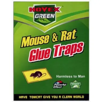 10 Pack Large Mouse Glue Traps with Enhanced Stickiness Glue Traps for Rat  Rodent Cockroach and Other Household Traps Sticky Pad Board for House