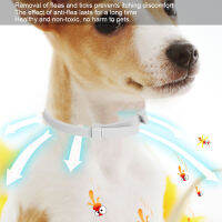 อุปกรณ์สำหรับสัตว์เลี้ยงที่สามารถปรับได้ Pet Collar Collar Cat for Dog Puppy