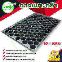 ถาดเพาะกล้า 104 หลุม หลุมกลม หนา 0.15 มิล  (10 ใบ/ 1 ชุด) มีบริการเก็บเงินปลายทาง