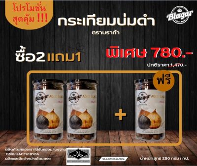 Blagar (บราก้า) กระเทียมดำ เพื่อสุภาพ ขนาด 250 กรัม x 3 กระปุก