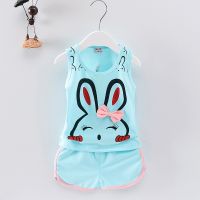 COD dsgrtytrytry Hot Sale Brand Boys Clothing Children Summer Boys Clothes Cartoon Kids Boy Clothing Set T-shit Pants Cotton