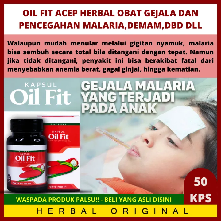 Obat Tradisional Malaria Untuk Anak Obat Demam Malaria Pada Anak Obat Gejala Malaria Menggigil Badan Lemas Dan Tidak Berenergi Nafsu Makan Berkurang Sulit Tidur Muntah Sakit Perut Napas Cepat Dbd Hb Rendah Dengan Kapsul Oil Fit Acep Herbal 100