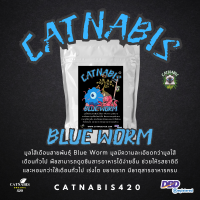 มูลไส้เดือนสายพันธุ์ Blue worm ธาตุอาหารครบ พืชแตกราก แตกยอดได้ดี โมเลกุลขนาดเล็ก นำใช้ได้ทันที ช่วยให้รสชาติดีและหอมกว่าใส้เดือนทั่วไป