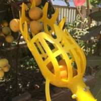 +【‘ 2Pcs/Pack Fruit Picker Basket Harvester Head Loquat Rotating Pick Up Tool Collecting Manual Twisted Oranges Avocado Waxberry