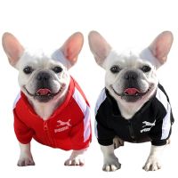 2022  Pet Dog Clothes Dogs Hoodies for Small Medium Dogs Warm Fleece Zipper Dog Jacket Chihuahua French Bulldog Jacket