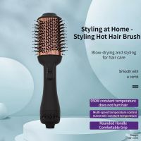 [Hot On Sale] New Hot Air Comb High Power Blow Dry Comb Hair Curling Device Hair Salon Styling Comb Volume Straight Dual-Use Hot Air Comb