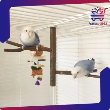 Lovebird toys best sale for sale