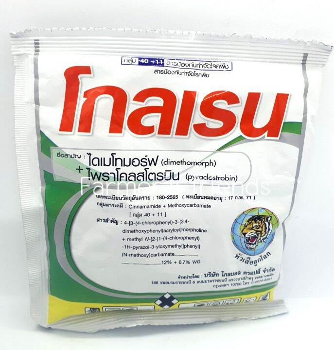 โกลเรน-100กรัม-ไดเมโทมอร์ฟ-ไพราโคลสโตรบิน-สารกำจัดโรคพืชกลุ่ม-40-11-ป้องกันโรคราน้ำค้าง-ใช้ในไร่ผัก-สวนผลไม้-100กรัม