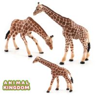 Animal Kingdom - โมเดล Giraffe ยีราฟ พ่อแม่ลูก ชุด 3 ตัว (จากสงขลา)