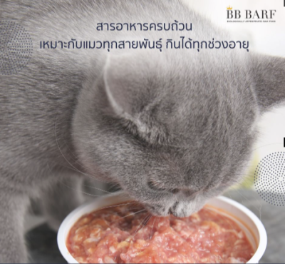 BB Barf cat food "Chicken and Duck" อาหารบาร์ฟ อาหารสดดิบสำหรับแมว อาหารแมวแช่แข็ง คละรส ลูกและแมวโต ขนาด 335 กรัม x 16 กระปุก