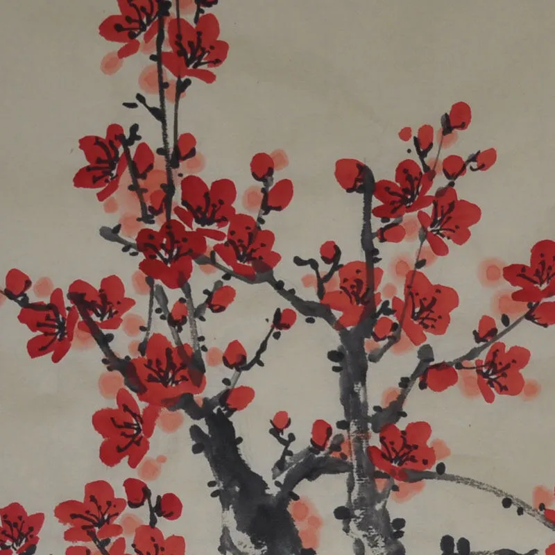 Hoa mai PNG 14 file hoa mai vẽ tay hoa mai vector trang trí mùa xuân