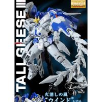 Tallgeese III MG 1/100 model Gundam MG โมเดลกันดั้ม อ่านก่อนสั่งซื้อครับ