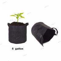 5 Gallon Plant Growing Plant Bag With Handle Vegetable Flower Fabric Seed Pot Eco-Friendly Ventilate Garden Tools 17TH