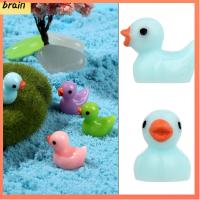 BRAIN 36pcs ตกแต่งบ้านตุ๊กตา DIY เครื่องประดับเรซิน ภูมิทัศน์ขนาดเล็ก ขนาดเล็ก แม่พิมพ์เป็ด ตุ๊กตา