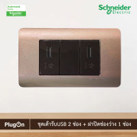 Schneider ชุดเต้ารับUSB 2ตัว+ฝาอุดช่องว่าง พร้อมฝาครอบ 3ช่อง สีน้ำตาล | Zencelo | 8431USB_BZ+8430SP_BZ+8431USB_BZ+A8401LH_SZ สั่งซื้อได้ที่ร้าน PlugOn