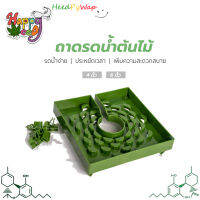 Free 2 Clip Grow cap ถาดรองดินรดน้ำ ทำให้รดได้ซึมทั่วหน้าดิน ได้ทั้งดินและ Hydroponics Rockwools ขนาด 6 นิ้ว Grow Garden Flora Flex แนะนำ 6 Inch ใช้ทำระบบรดน้ำอัตโนมัติ